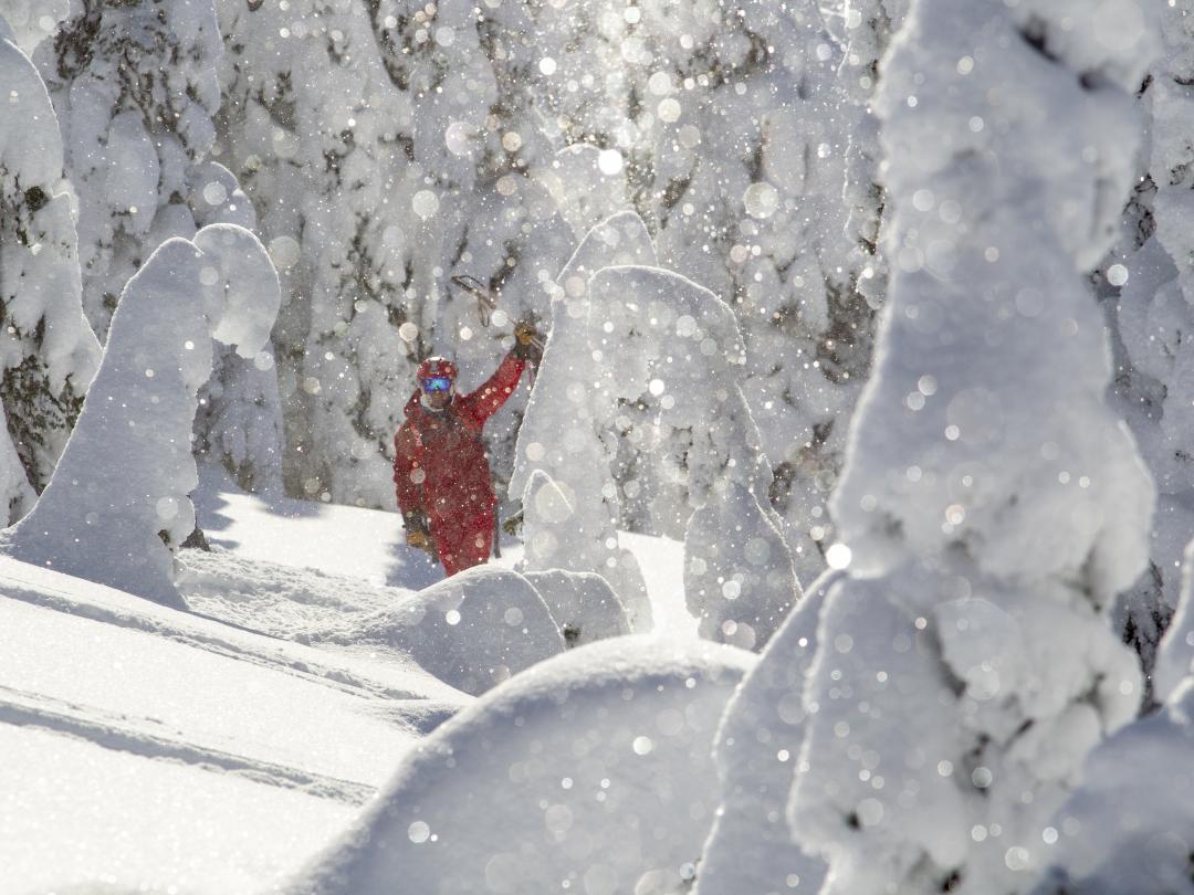 The Best Day of Your Life involves heli-skiing