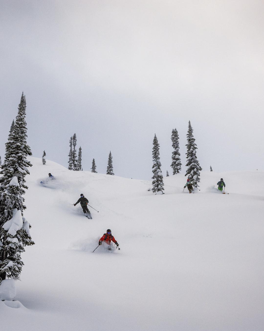 Skiers and boarders in deep powder