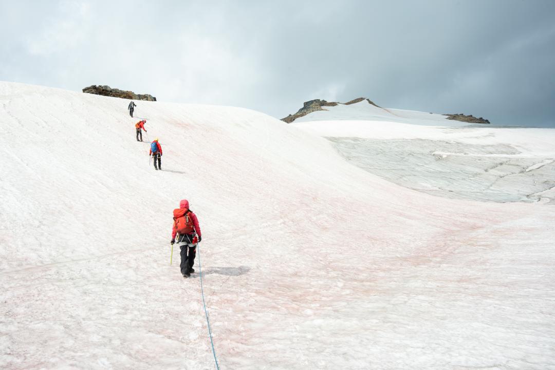 CSGA Glacier Course