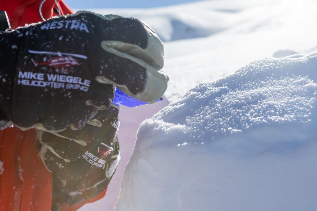 Guide studying the snow