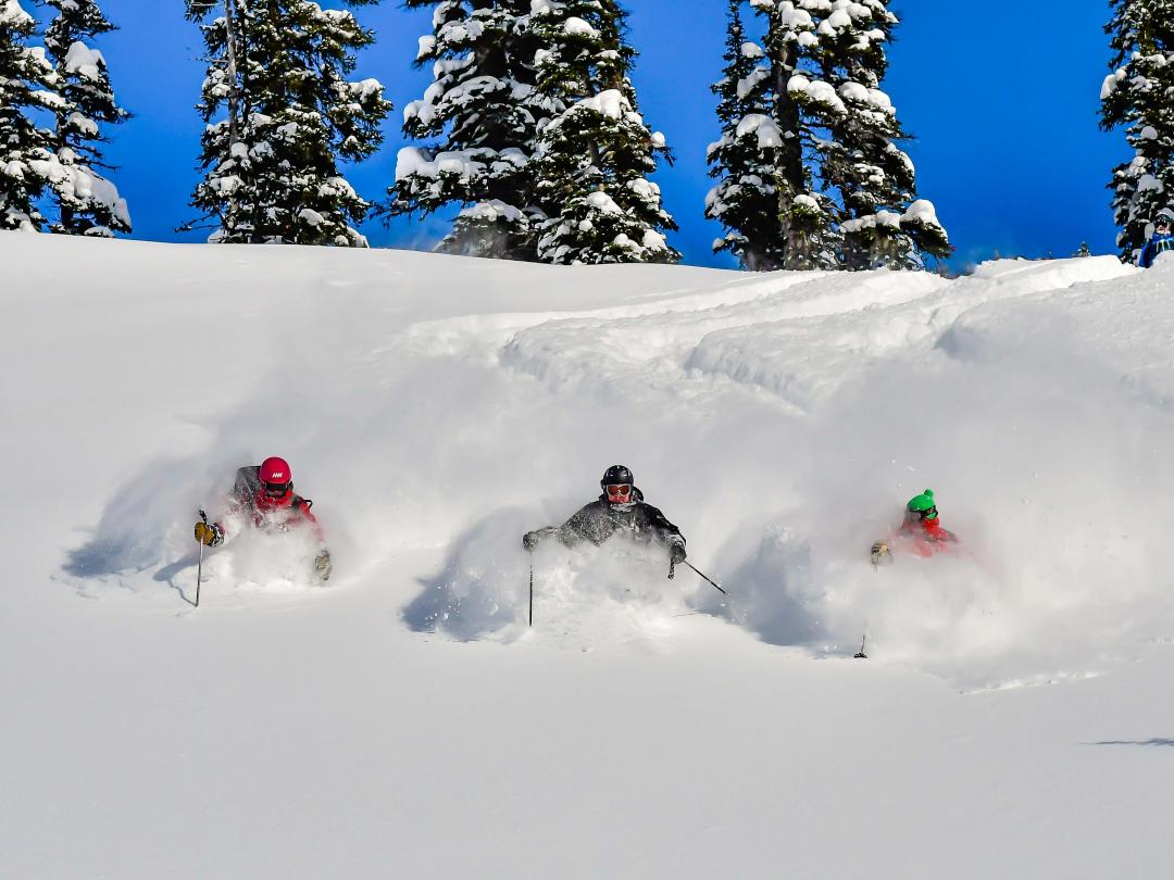 Tour 614deep powder heli-skiing, BC, Canada