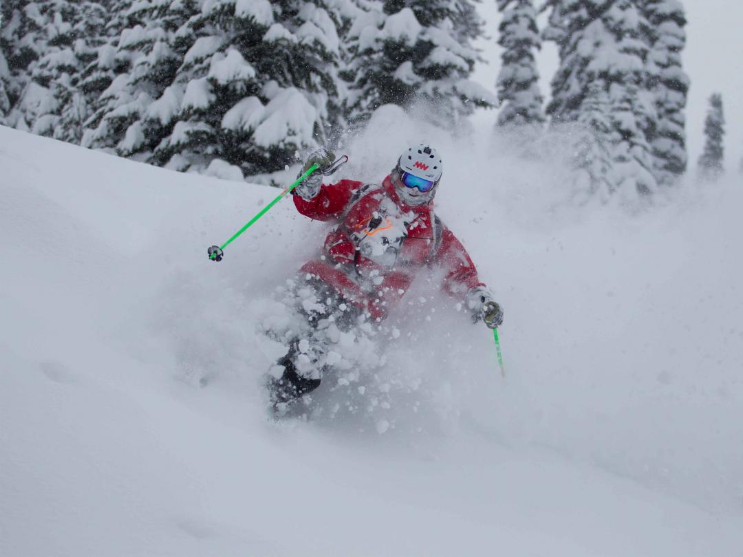 Safe tree skiing
