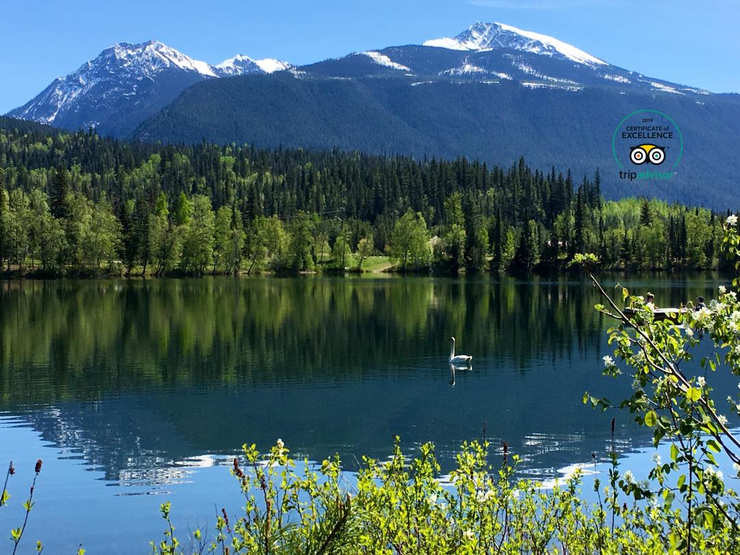 Mike Wiegele Heliski Resort is open during summer months and lays on the shores of beautiful Eleanor Lake, Blue River, BC.