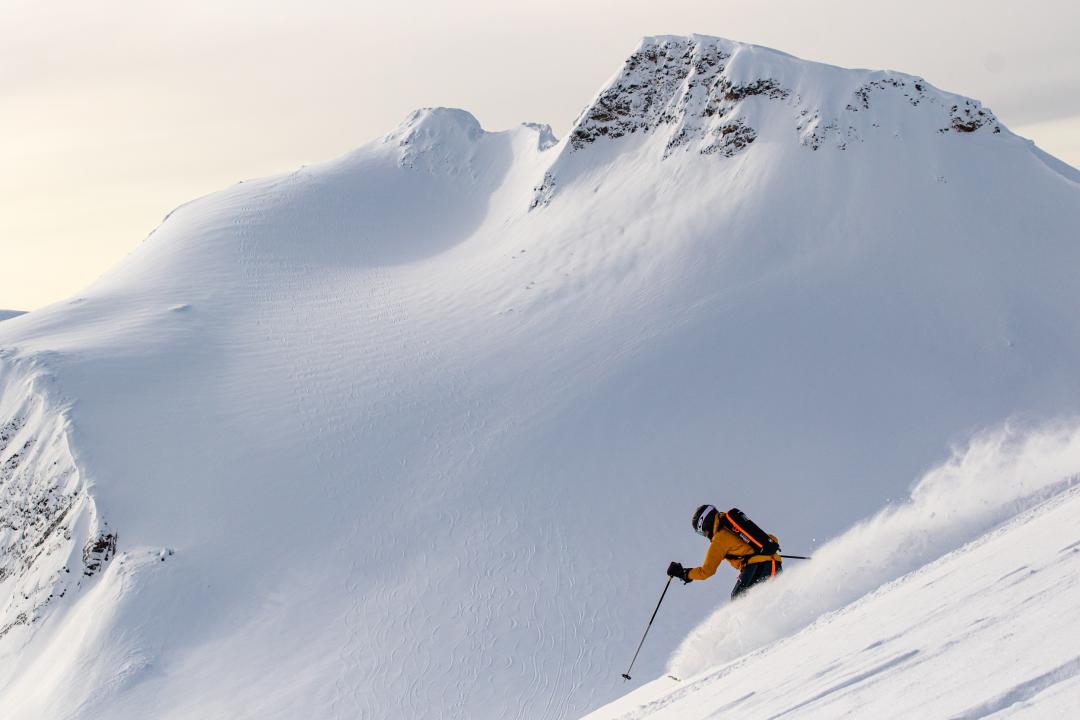 Skier in the alpine