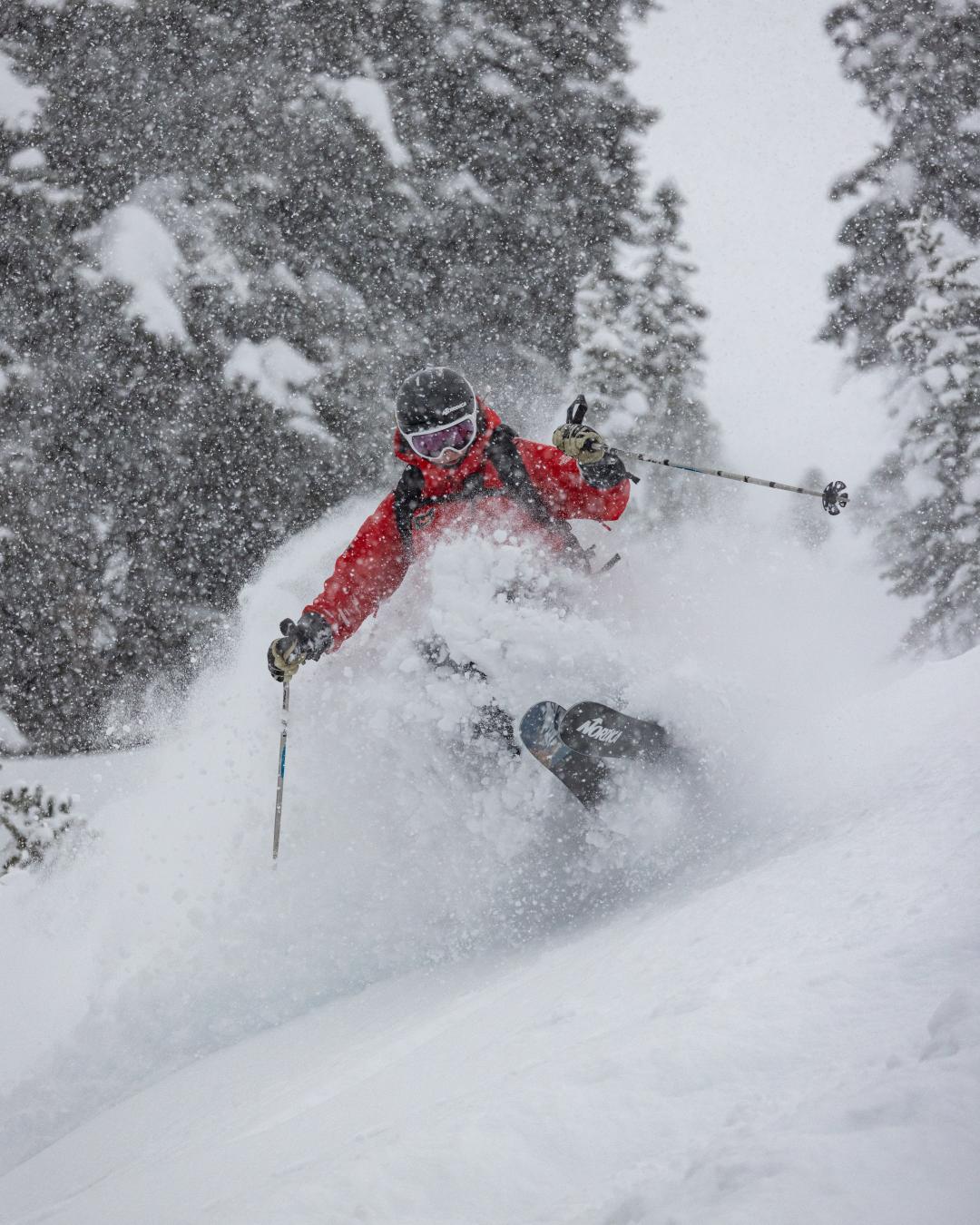 Powder Skiing