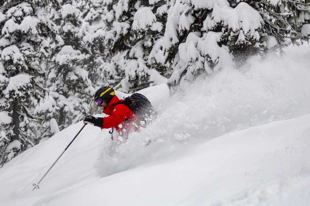 Jason skiing the trees