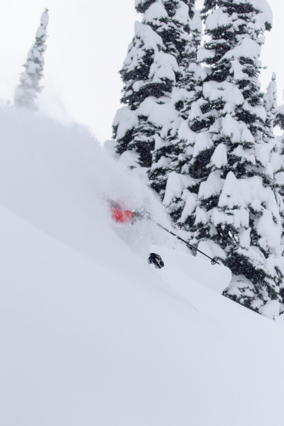 Guide Freddy in a Powder Cloud