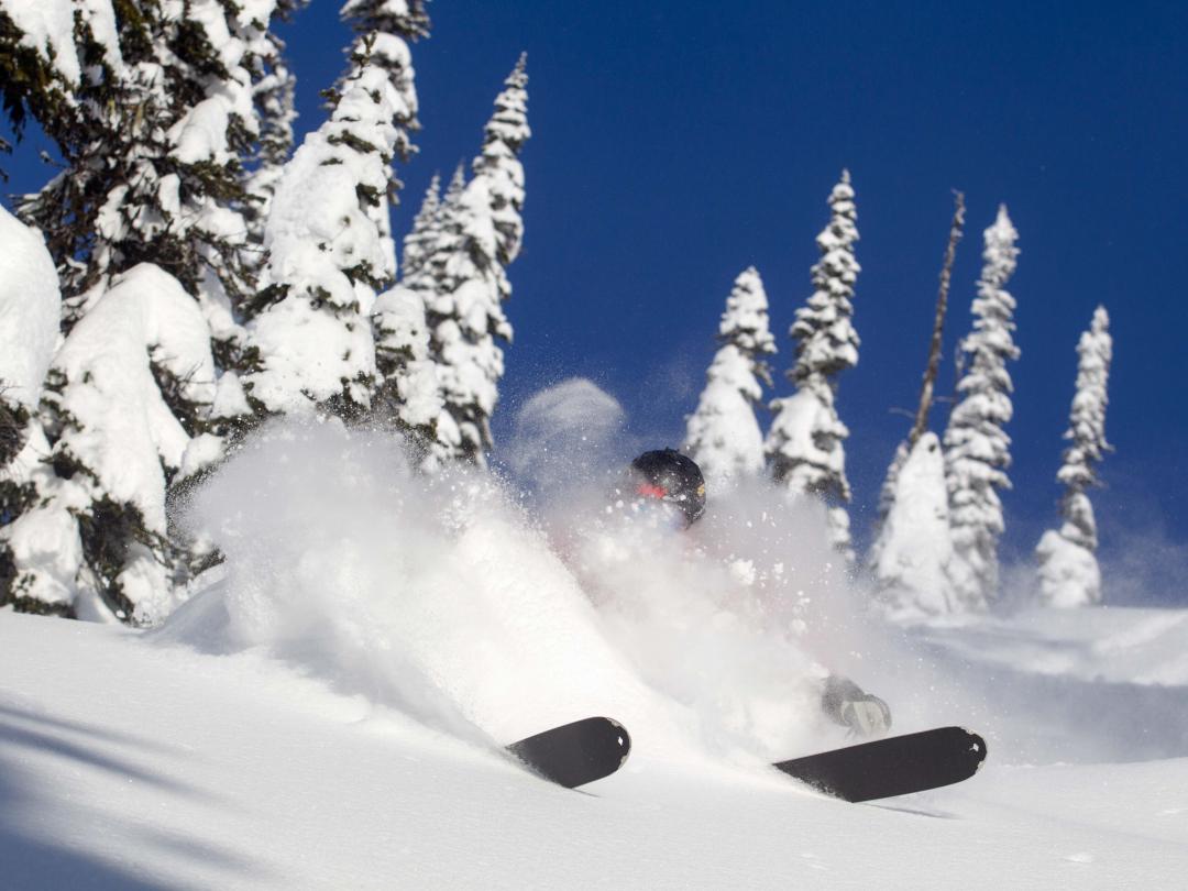 Tour 602 deep powder heli-skiing