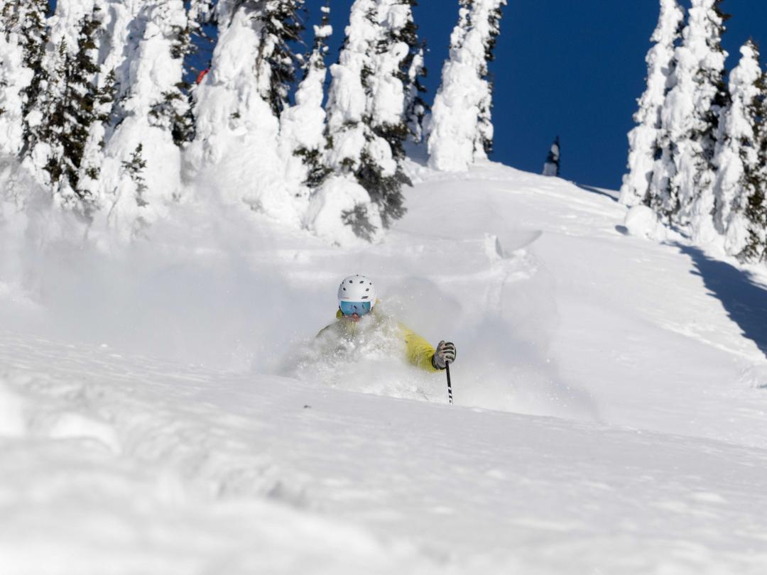 Tour 605 deep powder heli-skiing