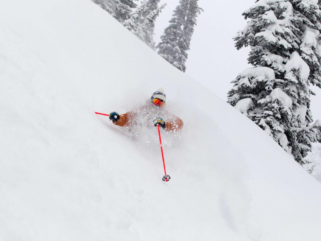 Tour 613 deep powder heli-skiing, BC, Canada