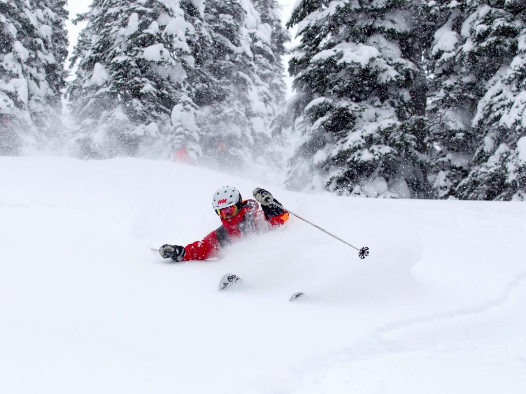 Mike Wiegele Heliski Resort is home to the best powder skiing in the world!