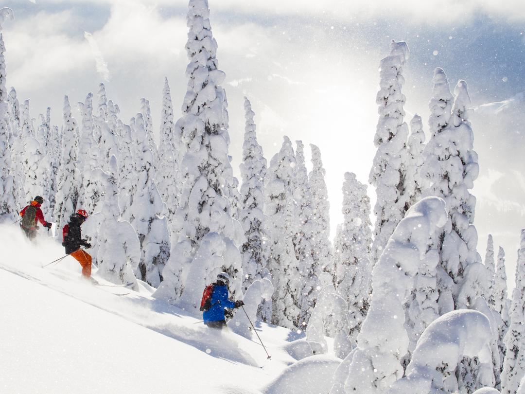 Mike Wiegele Heli-skiing Resort offers best powder skiing in the world.
