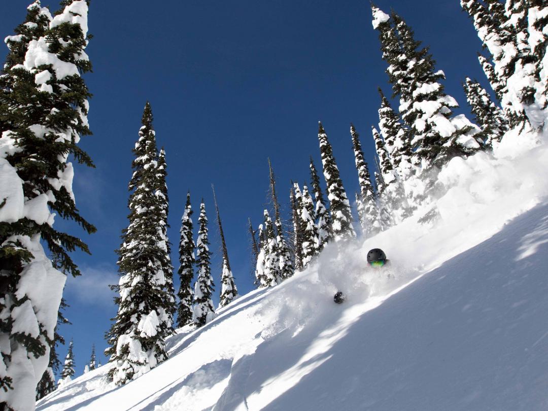 Mike Wiegele Heliski Resort is home to the best powder skiing in the world!