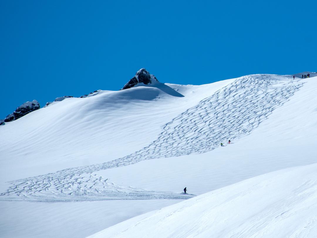 Mike Wiegele Heli-skiing Resort offers best ski powder and snowboard experience in the world