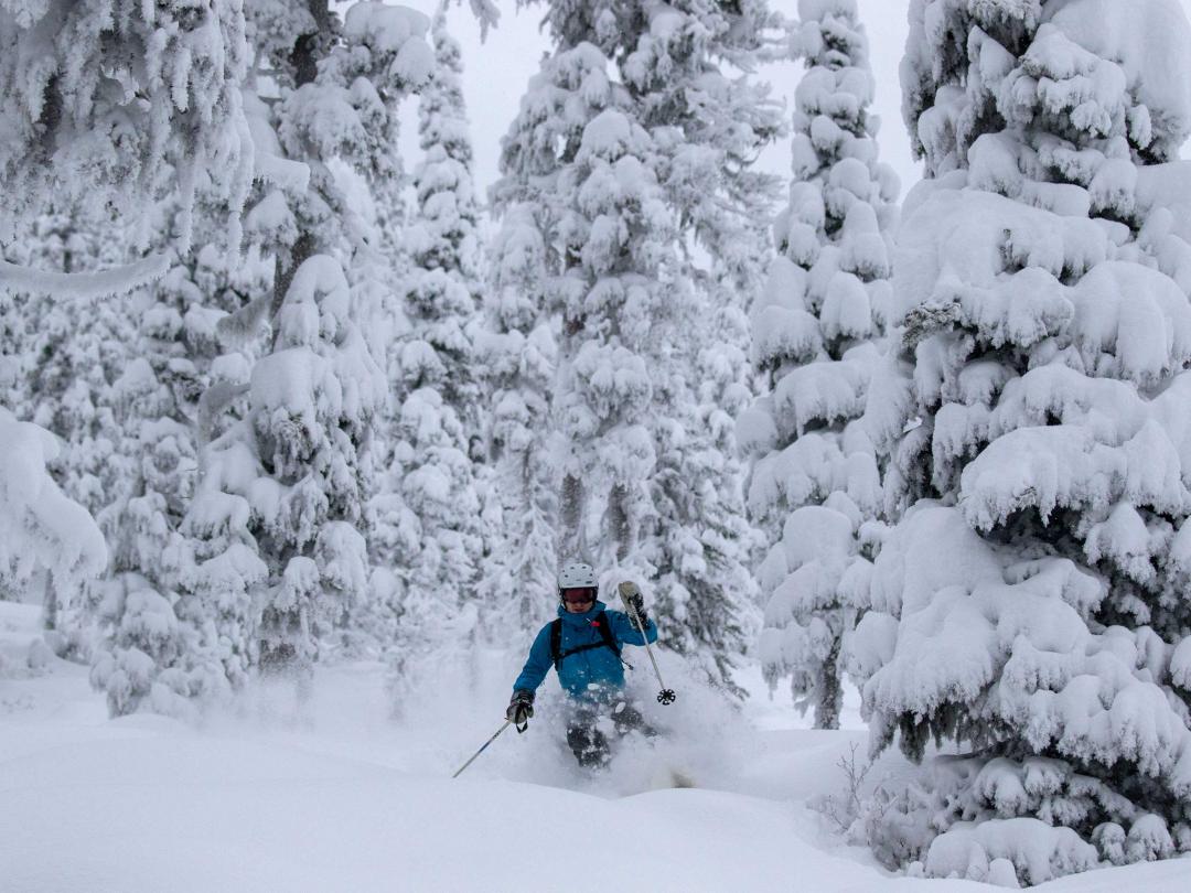 Best Photos of the week Heliskiing at Mike Wiegele Heli-skiing Resort
