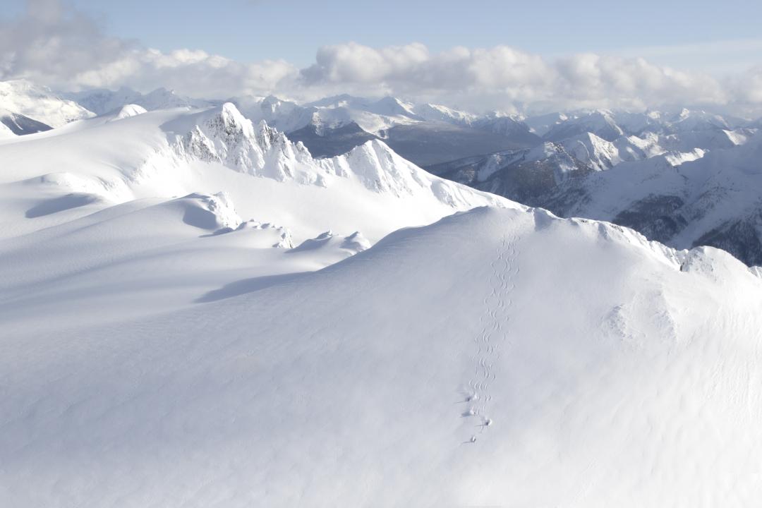  A heartfelt thank you for skiing with Mike Wiegele Heli-skiing.