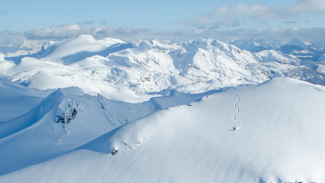 Skier in the alpine