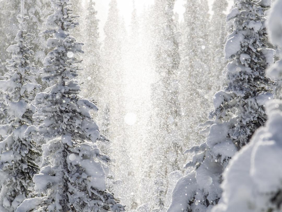 Powder skiing Mike Wiegele Heli-skiing Resort in Canada 