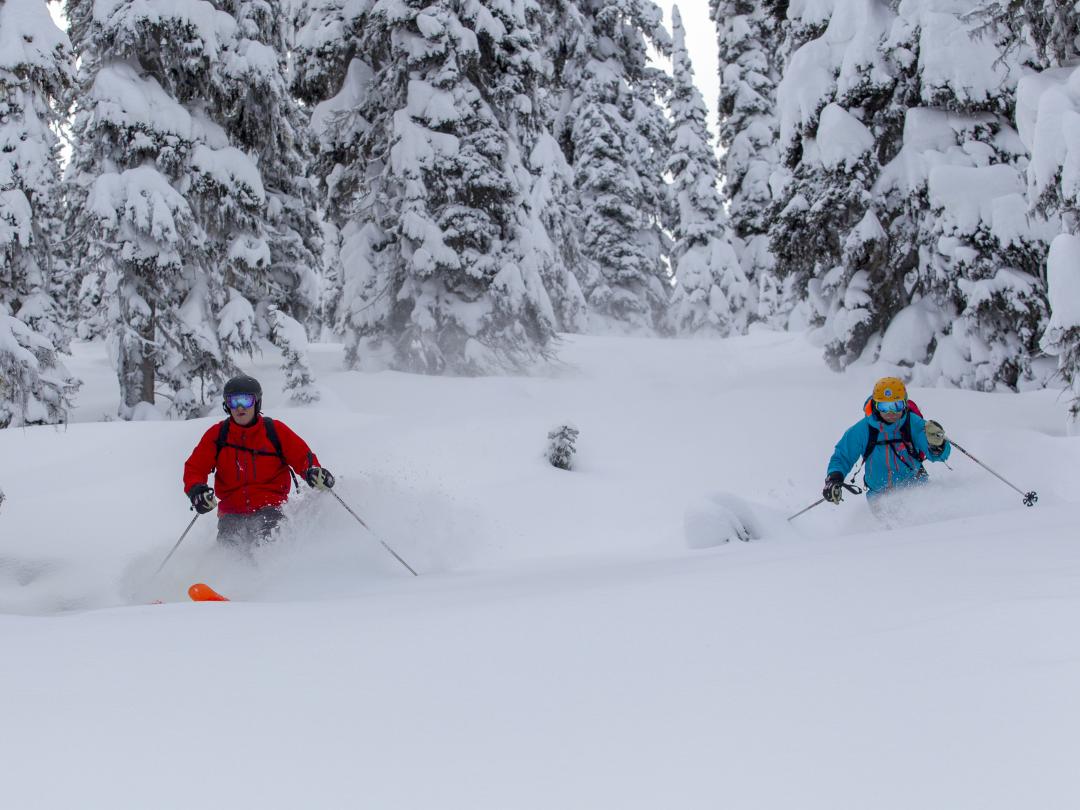 Mike Wiegele Heli-skiing Resort in Blue River is home to the world's best powder skiing.