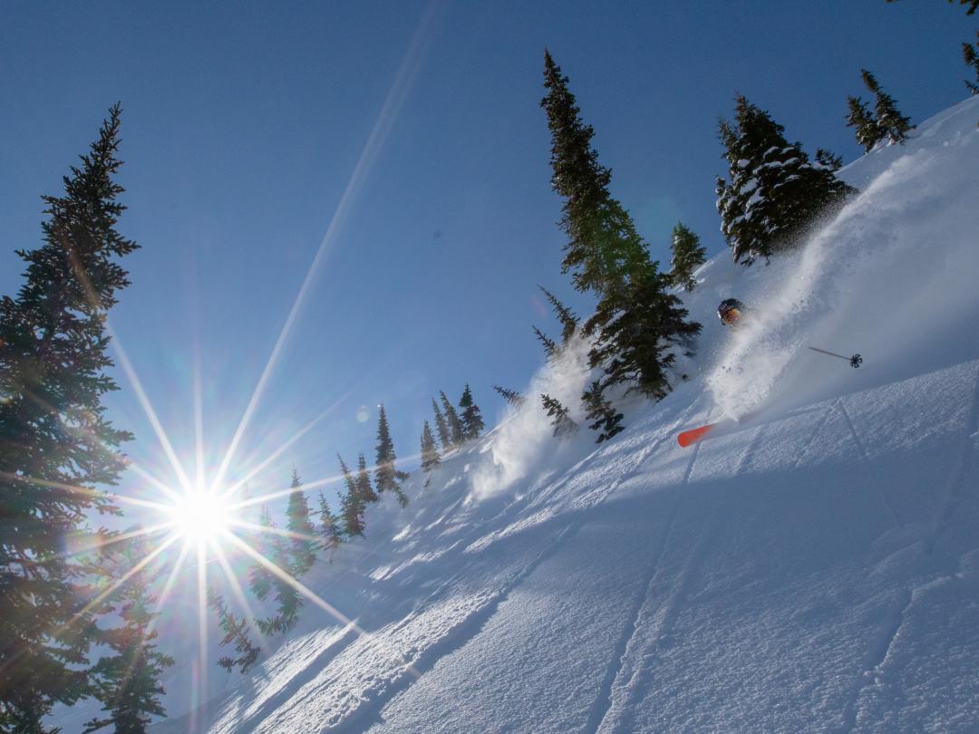 Teh best powder skiing and snowboarding at Mike Wiegele Heliskiing Resort.
