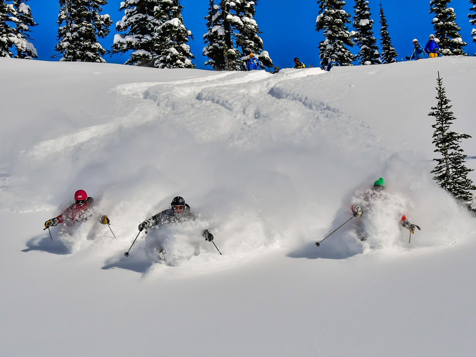 Best skiing & snowboarding at Mike Wiegele Heli-skiing Resort in Canada.