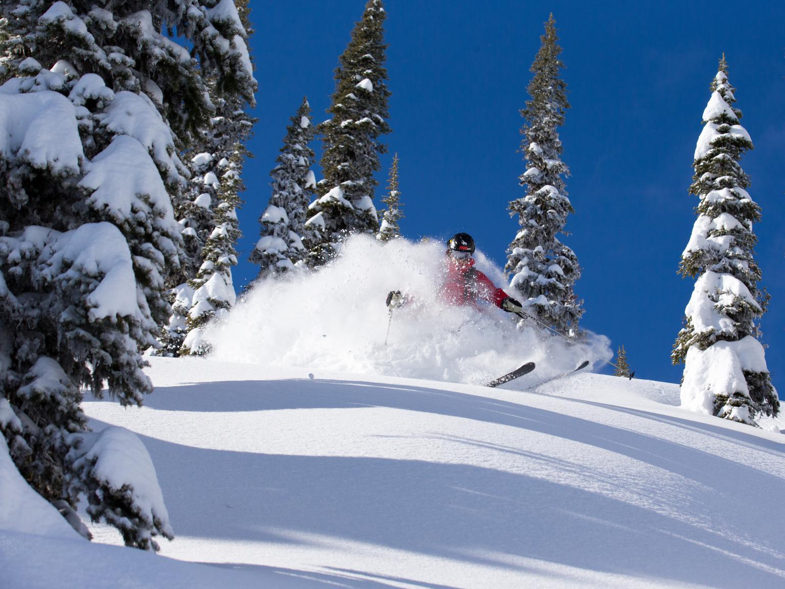 Tree Skiing