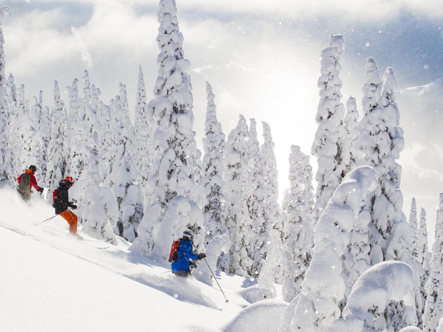 Mike Wiegele Heli-skiing Resort offers best powder skiing in the world.