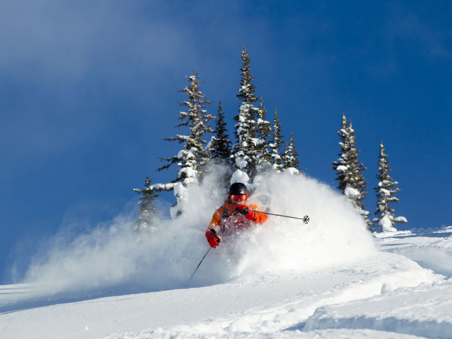 Powder