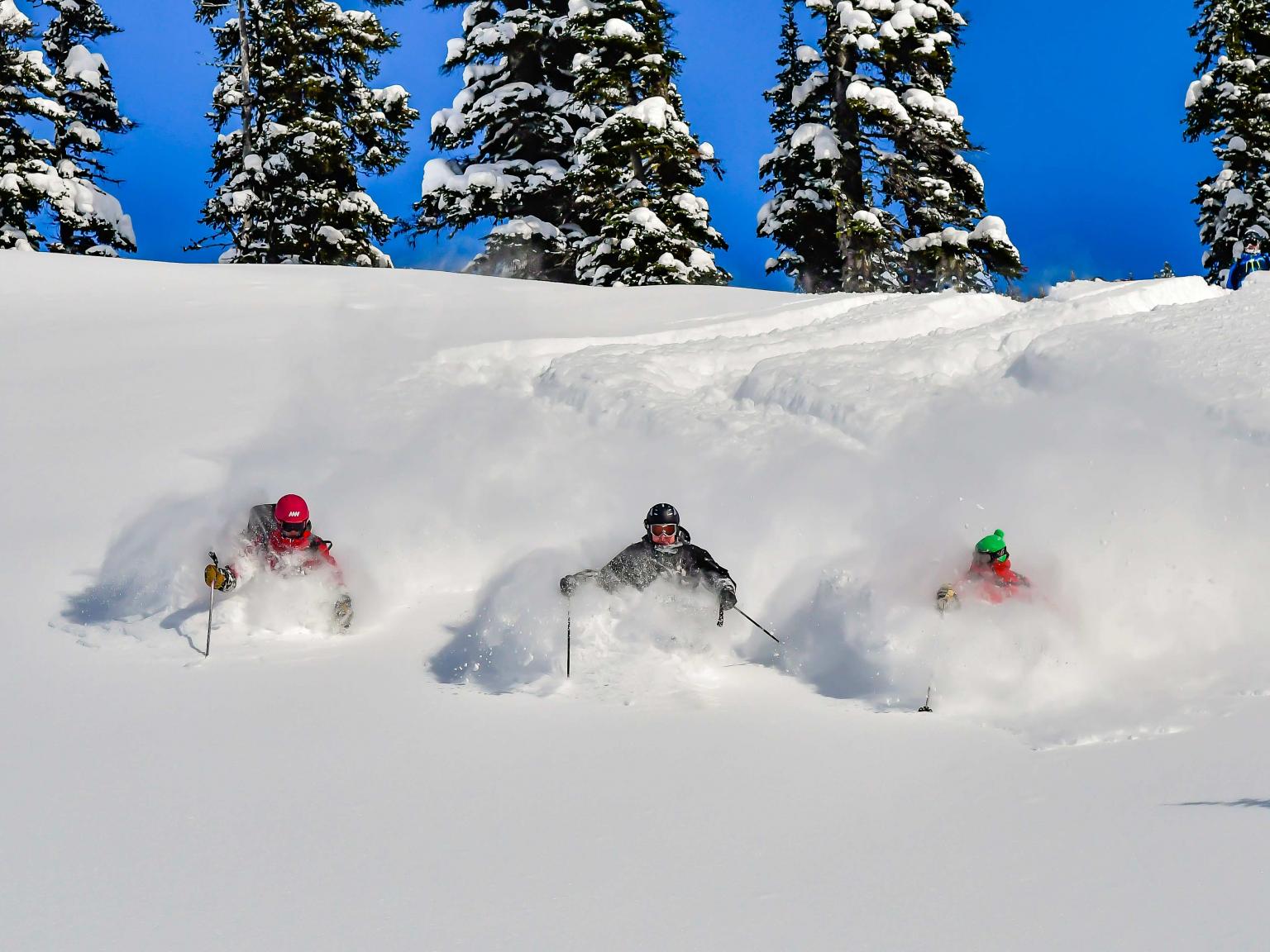 Deep powder skiing at Mike Wiegele heli-skiing resort.
