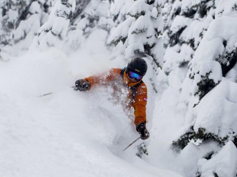 Trond Henrikssen Testimonial Image at Mike Wiegele Helicopter Skiing in Blue River, BC, Canada