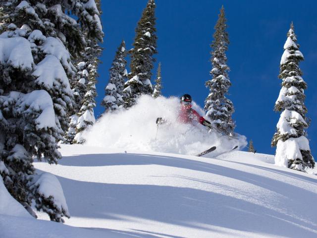 Tree Skiing